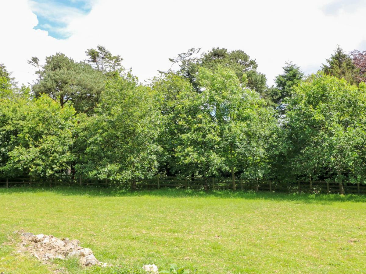 The Old White Cottage Shillelagh المظهر الخارجي الصورة