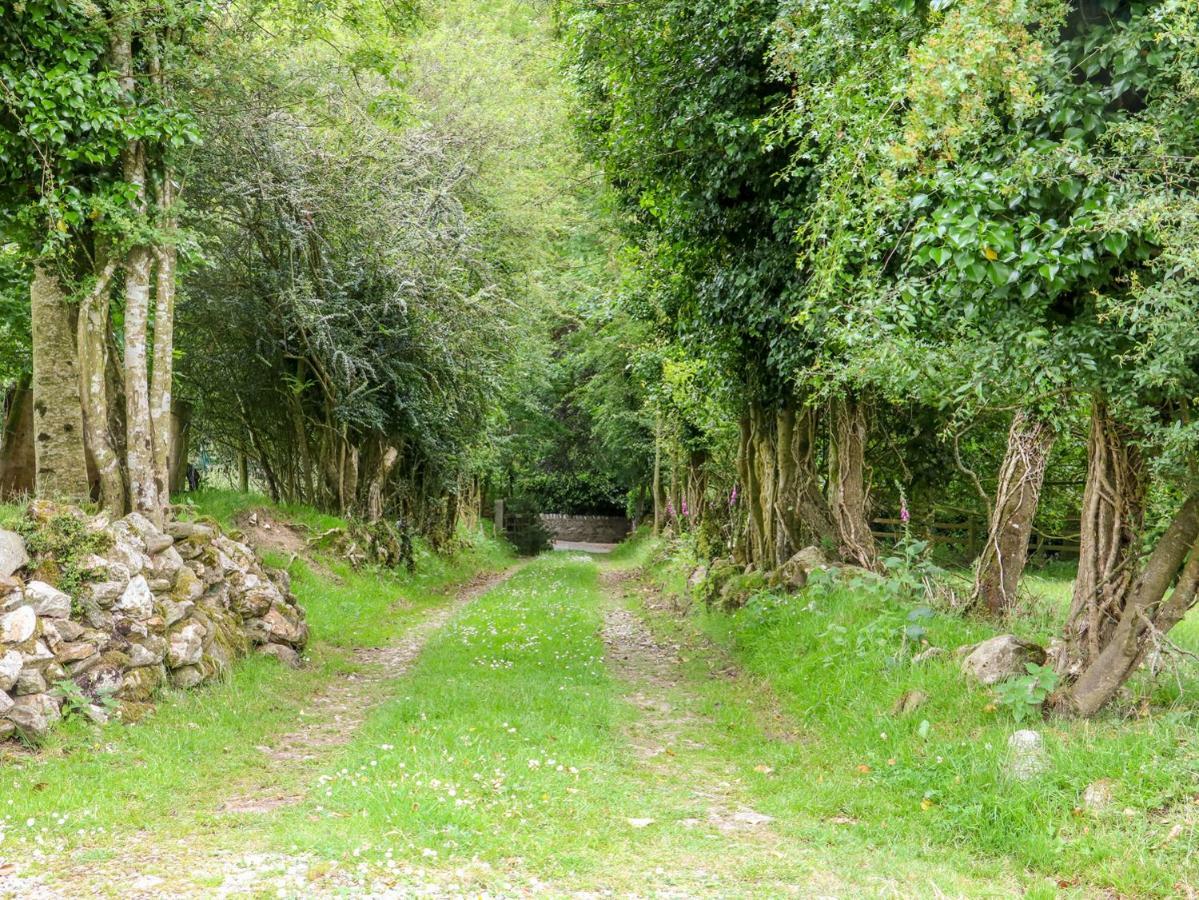 The Old White Cottage Shillelagh المظهر الخارجي الصورة